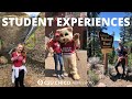Chico State Student Experiences