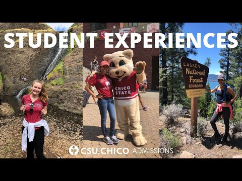Chico State Student Experiences