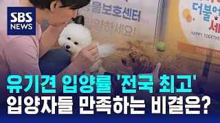 용인시, 유기 동물 입양률 '전국 최고'…비결은? / SBS