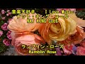 ナット・キンク・コール "ランブリン・ローズ" I Love Music "Ramblin' Rose"