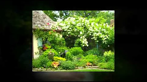 The garden of Bobbie Schwartz