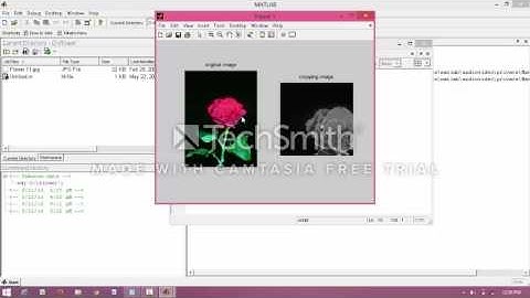 penerpan matlab croping,subplot,histogram dan segmentasi