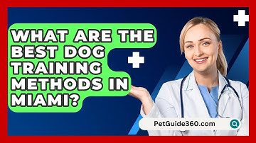 What Are the Best Dog Training Methods in Miami? - PetGuide360.com