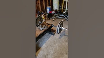 Coach Watty loads the EZ curl bar for Cheat Curls! OMG! 🐈💯☝️