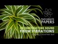 Reconstructing Sound From Vibrations | Two Minute Papers #12