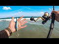 what happens when a BAIT BALL shows up at the beach?....