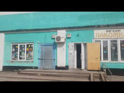 Тисуль Ленина 84 у входа