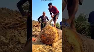 They Made a Boat from One Tree… Lasts 100 Years 😲🚤 #shortsvideo #viralvideo