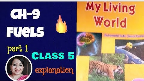 DAV Class 5 Science  Chapter 9 Fuels