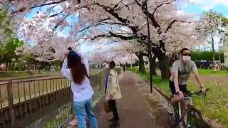 Spaß bekommen am sofort 1001603