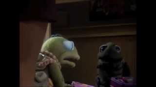 Tardy Turtle - That's a Turtle!