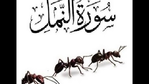 الخلافات بين حفص وشعبة رحمهما الله ( سورة النمل )