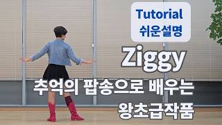 Ziggy Line Dance absolute Beginner  Gary Lafferty  Tutorial