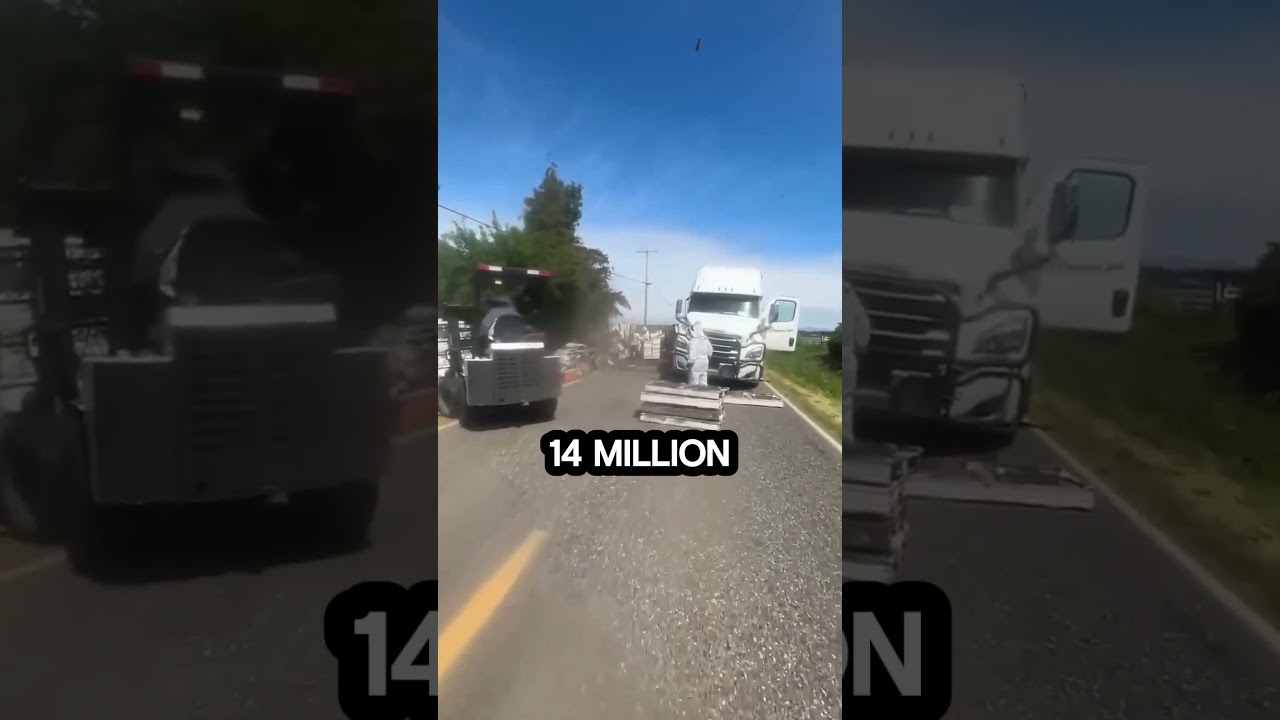 The Great Bee Escape #trucking #news #bee