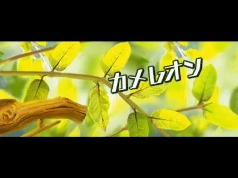 [3DS] リズム天国 ザ・ベスト+ カメレオン パーフェクト 60fps