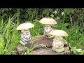 Садовые фигуры грибы. Интересный способ окрашивания/ Garden figures DIY. ХоббиМаркет