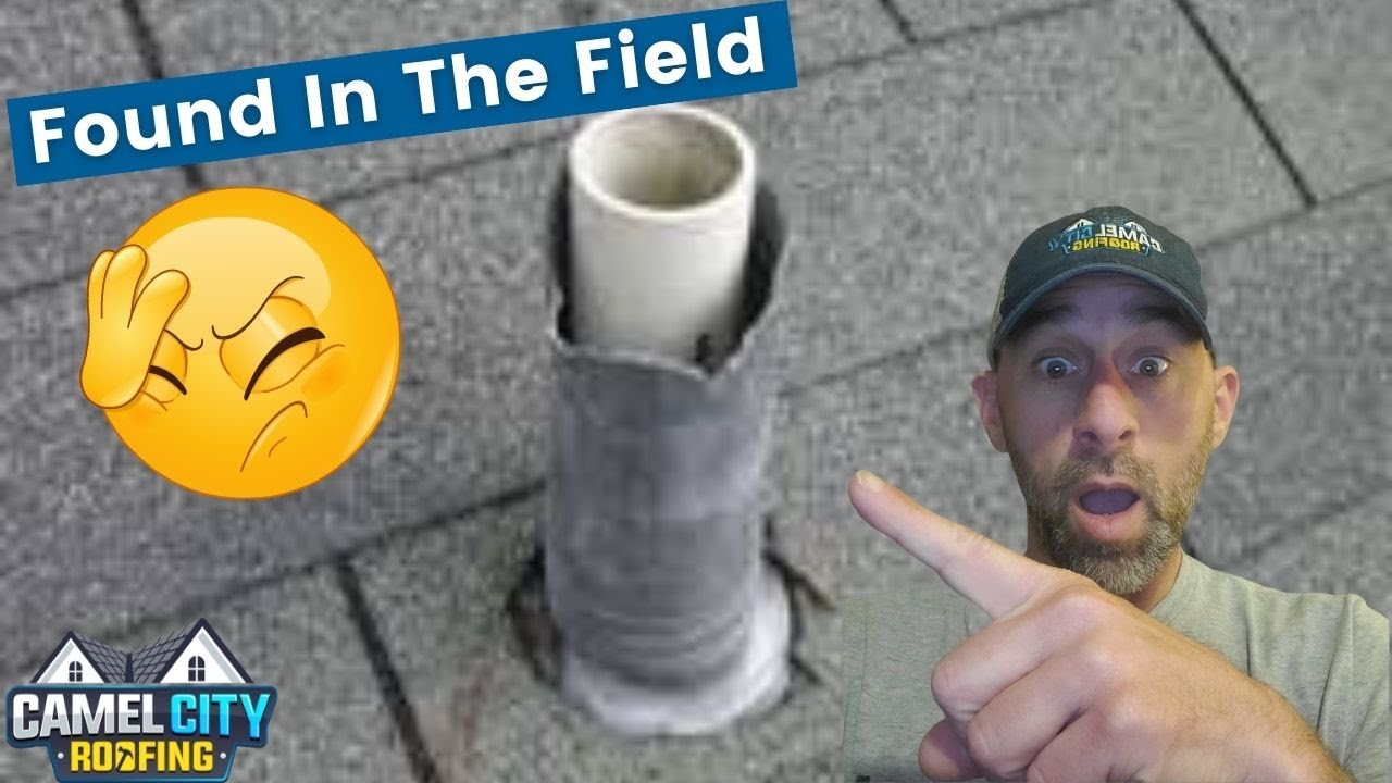 Found In The Field Squirrels Eating Lead Flashings? YouTube