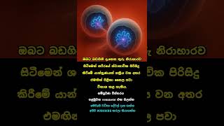 28 July 2025