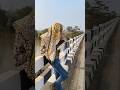 ooo लड़की किया कर रही है #newमारवाड़ीcomedy #funny