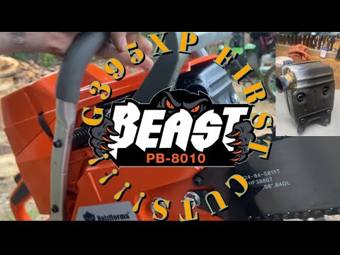 Holzfforma G395xp Muffler Mod & First Cuts!!!! Holzfforma G395xp Muffler Mod & First Cuts!!!!