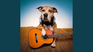 Soothing Paws Chords