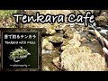 【Tenkara Cafe 】【衝撃】その辺の「苔」で毛鉤を巻いたら、驚きの結果に。｜Wild Moss Fly