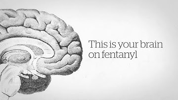 How the powerful opioid fentanyl kills