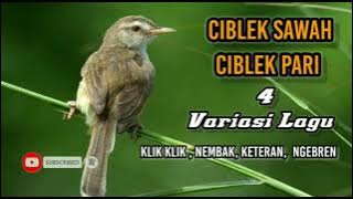 CIBLEK SAWAH / CIBLEK PARI / PRENJAK KLIK  ( VARIASI 4 LAGU )