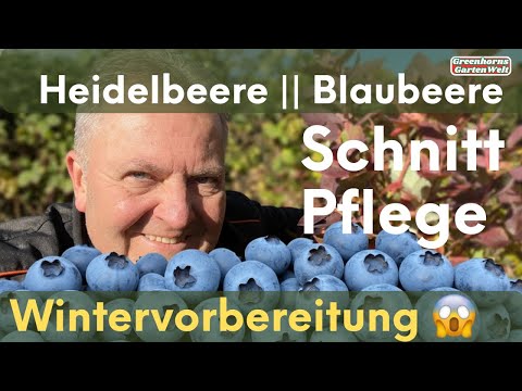aus was wird dünger hergestellt Grow-Flüssigdünger 500 ml main image 0