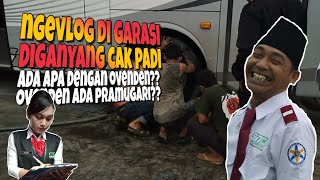 Disidak Cak Padi Stj Ovenden Gara-Gara.....