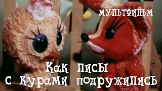 Как лисы с курами подружились (1980) Мультфильм Михаил Шаров