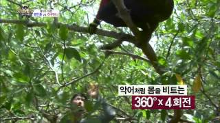 정글의법칙 130809 #19(2)