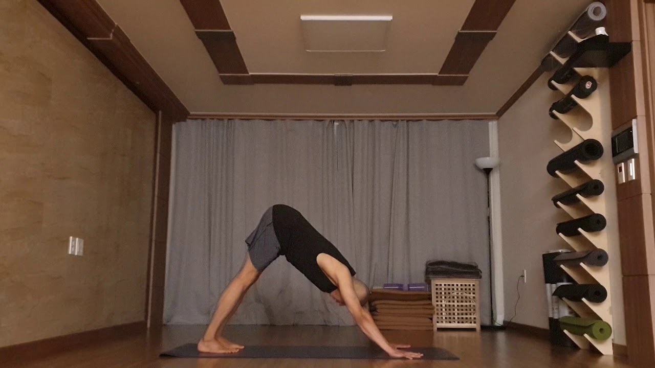 수리야나마스카라A 배워보기 - 아쉬탕가 요가 (AshtangaYoga - SuryanamaskaraA)