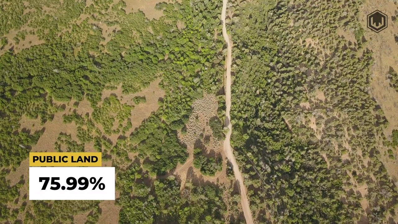 Fillmore, Pahvant Utah Elk YouTube