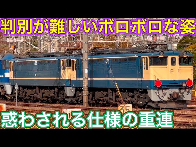 生命線と言える物が無く誰もわからない兄弟？！奇跡の復活を遂げそうな