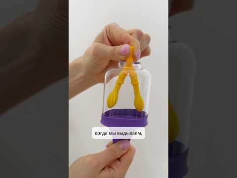 Из-за ЭТОГО болит спина и поясница #дыхание #осанка #здоровье