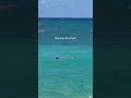 &amp; when it’s time to flip, it’s time to snorkel 🐠 for more life by the sea → @addietfit #beach #life