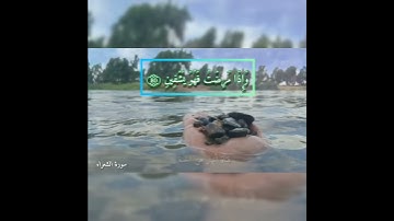 تلاوة جميلة من سورة الشعراء ، الذي خلقني فهو يهدين