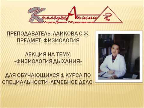 Физиология дыхания