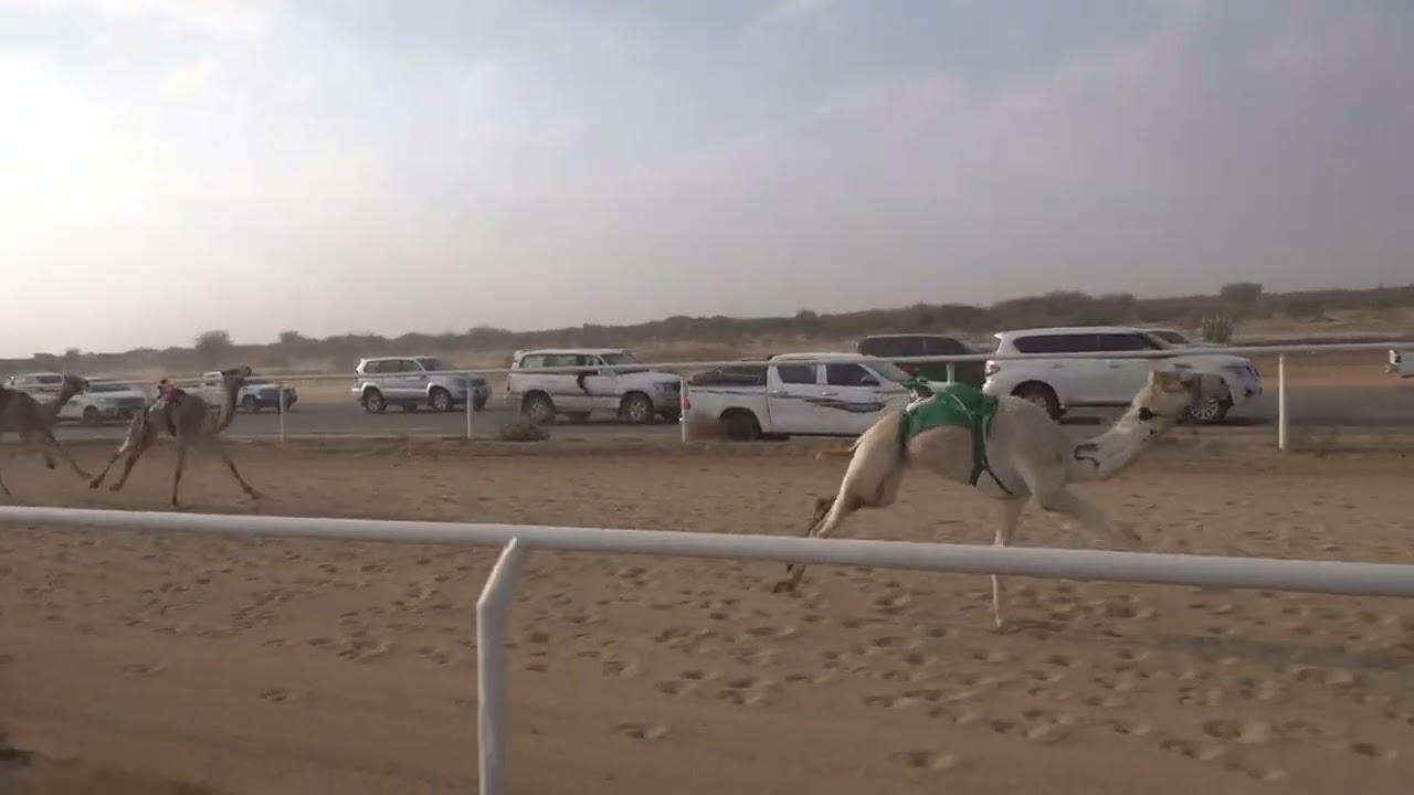 ش5 بكار مفاريد 1447/07/28هـ - 2026/01/17م (سمحه) فهد نايف مشخص القرشي