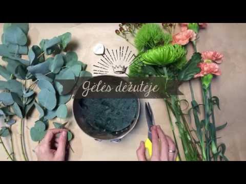 Video: Baltos Rainelės (35 Nuotraukos): Gėlių Veislės Su Purpurine, Mėlyna Ir Mėlyna, Alyvinėmis Dėmėmis