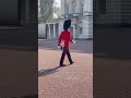 рџ рџ рџ рџЏј Grenadiers Kingsguard Buckinghampalace London рџ рџ рџ рџЏј Grenadiers Kingsguard Buckinghampalace London