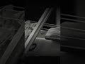 Massenet Meditación de Thais - Violinista Luis Méndez #violin #music #cultura #band #orchestra