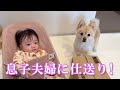 【仕送り開封】ポメくんと息子夫婦に仕送りを送りました！