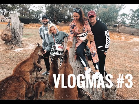 VLOGMAS 2018 | DAY 3: Hranili smo klokane i mazili se s koalama!