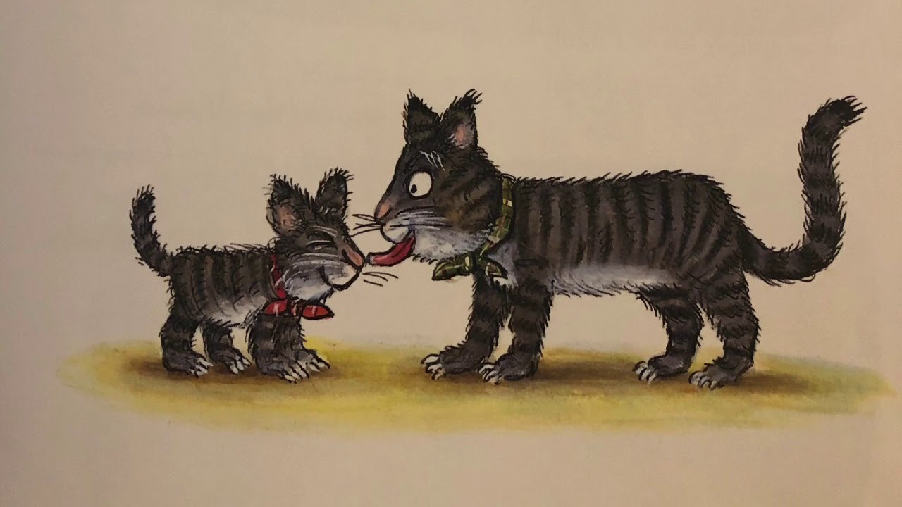 Tabby McTat - The Musical Cat - YouTube