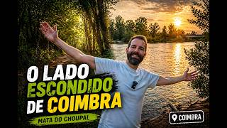 A Floresta Escondida de Coimbra | Mata do Choupal