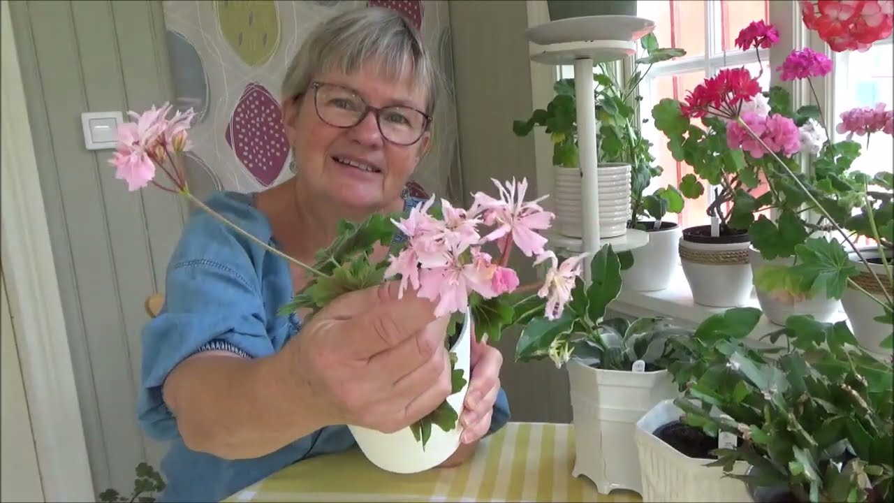 Avsnitt 43, 2022   Del 1 Pelargoner. Del 2 Hembygdsföreningar & släktforskning