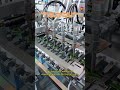 Pre-made Bag Fruit & Vegetable Juice Packaging Machine | Fresh Juice Solution