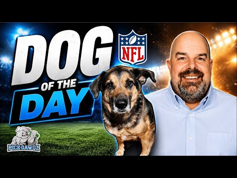 NFL Picks and Predictions for Today 10/25/2026 | Dawg of the Day